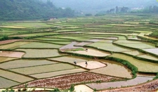 Endonezya İklimi Özellikleri