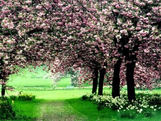 Denizli İklimi Türleri ve Özellikleri