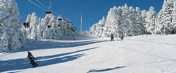 Kanada İklimi Özellikleri ve Faydaları Nelerdir?